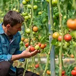 Agroktima * לאונידיון
