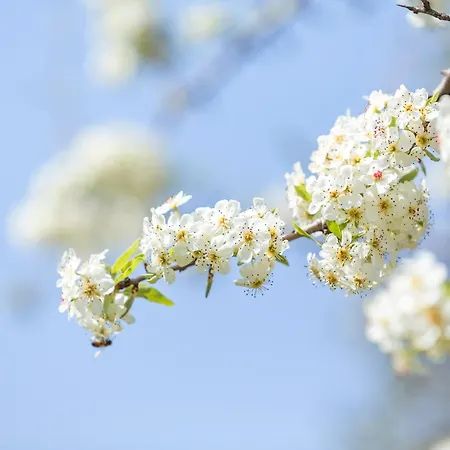 Casa rural Agroktima