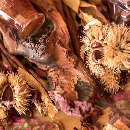 منزل ريفي Agroktima ليونِذيو