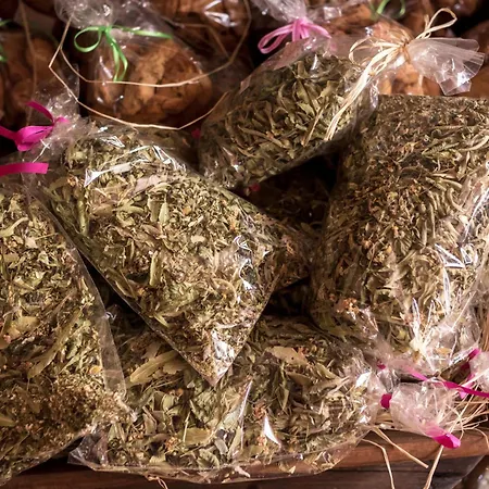 Agroktima Gospodarstwo wiejskie