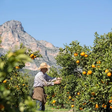 Casa di campagna Agroktima