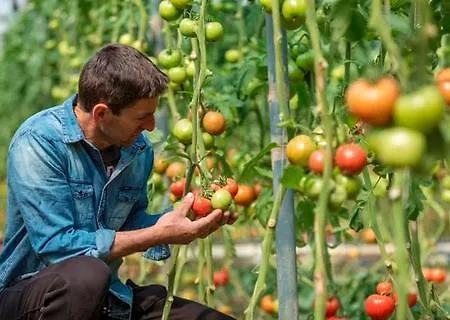 Agroktima * ليونِذيو