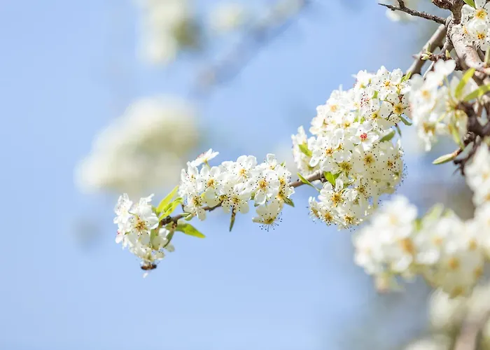 Casa rural Agroktima