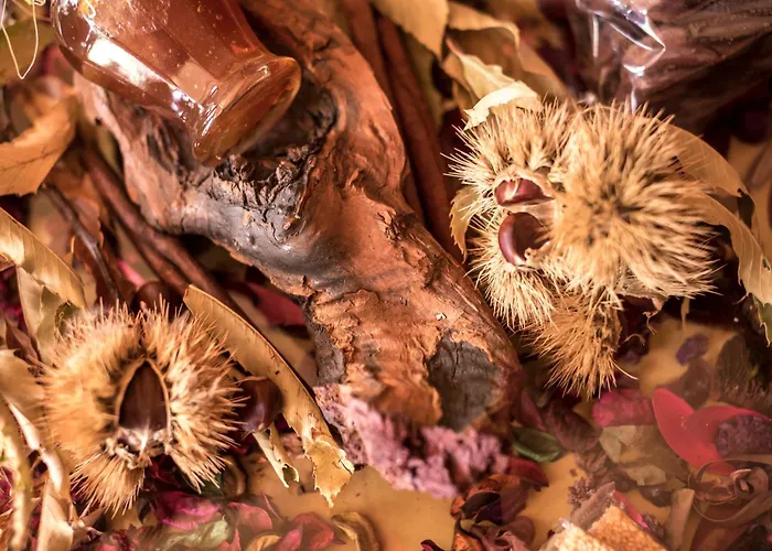 Hétvégi ház Agroktima Leonídio