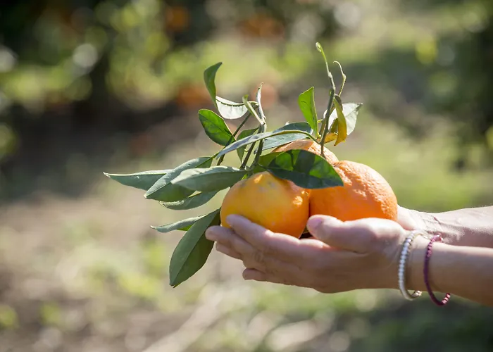 Agroktima Hétvégi ház Leonídio