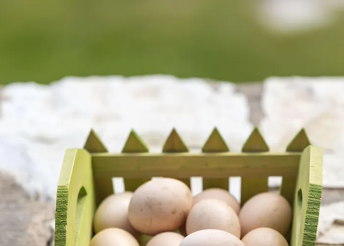 Agroktima Hétvégi ház *