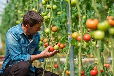 Agroktima * Leonídion